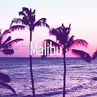 Picture for song 'Malibu ' by artist 'JuSaMeLoDy'