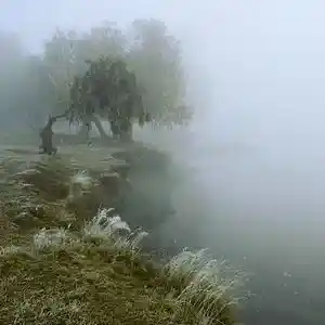 Picture for song 'Joeyy x Shed Theory x nature Type Beat - "out"' by artist 'maxxyn00'