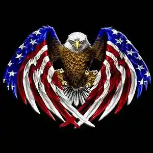 Picture for song 'All hail the golden eagle (remastered)' by artist 'Rich Kreischer'
