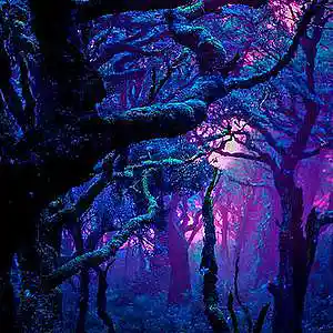 Picture for song 'Boom bap type Beat Instrumental' by artist 'Sonoratabeats'