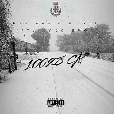 Picture for song 'how would u feel' by artist '10028 CAP'