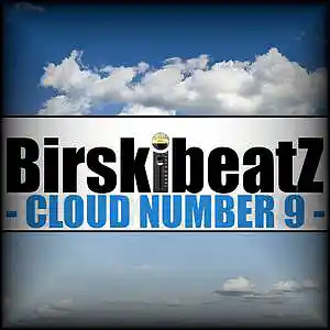 Picture for song 'CLOUD NUMBER 9' by artist 'BirskibeatZ'