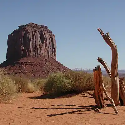 Picture for song 'Navajo' by artist 'Carlos Natale'
