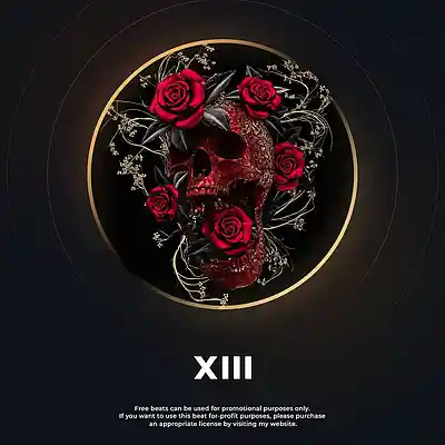Picture for song 'XIII (Dark Dance Beat)' by artist 'JOHN TAO'