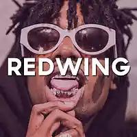 Picture for song ''Redwing' / Trap Instrumental / Buy 1 Get 2 Free! ' by artist 'Larkin Beats'