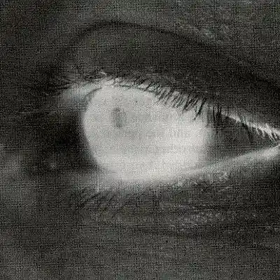 Picture for song '@LuzzyBe - MARIA - 104bpm A# Minor' by artist 'Luzzy'