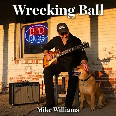 Picture for song 'Wrecking Ball' by artist 'Mike Williams'