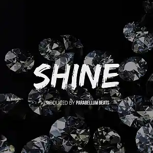 Picture for song 'Shine' by artist 'Parabellum Beats'