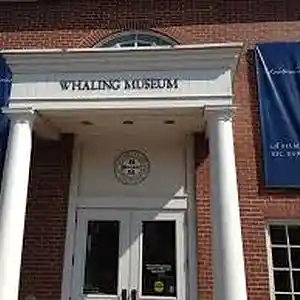 Picture for song 'Nantucket Justified: Waiting Room' by artist 'paul gorman and the hypnotist collectors'