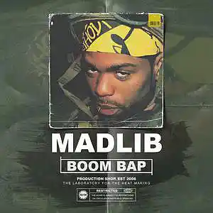 Picture for song 'Madlib Method Man Type Beat 2420' by artist 'Production Shop'