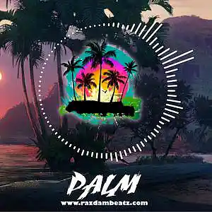 Picture for song 'PALM (BUY 1 GET 4 FREE)' by artist 'Razdam Beatz'