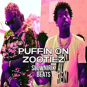Picture for song 'Puffin on zootiez' by artist 'Slownirik'