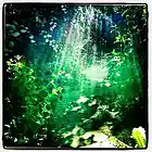 Picture for song 'Falling Off The World' by artist 'Steve Ison'