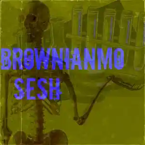 Picture for song 'SESH' by artist 'BROWNIANM0'