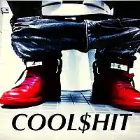 Picture for song 'CANT B NICE TO NIGGAS PROD BY COOL$HIT' by artist 'COOLSHIT'