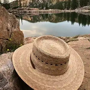 Picture for song 'YEE! HAW!' by artist 'Doug Murphy'