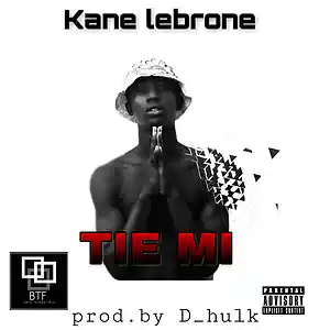 Picture for song 'Kane Lebrone Tie_Mi' by artist 'kane lerone'