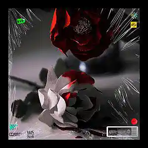 Picture for song 'Bloody' by artist 'Prod. By Libra'