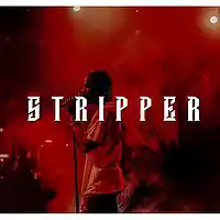 Picture for song 'STRIPPER' by artist 'SLYRAX'