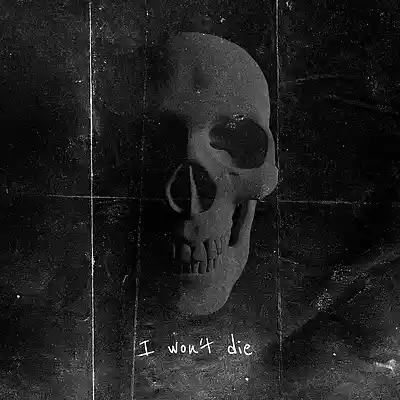 Picture for song 'I won't die' by artist 'B8-Music'