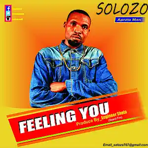 Picture for song 'Solozo_Feeling' by artist 'Bentwise Entertainment'