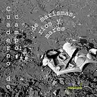 Picture for song 'La roca y el grano de arena' by artist 'berekeke'