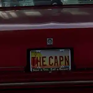 Picture for song 'Dealer' by artist 'Black Chalk'