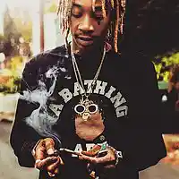 Picture for song 'Roll one Up (Wiz type Beat)' by artist 'Ford Beatz'
