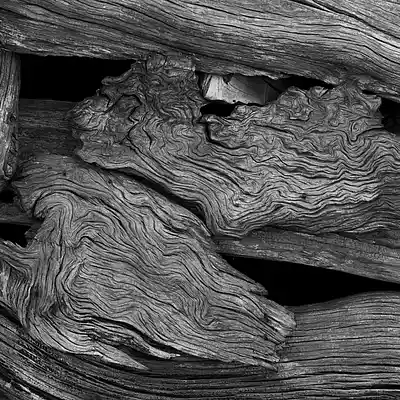 Picture for song 'WOOD *FREE DOWNLOAD*' by artist 'Le Black James on the Track'