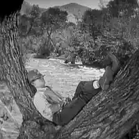 Picture for song 'Lazy Bones (1)' by artist 'Rex Reynolds'