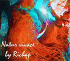 Picture for song 'NATUR VIVACE' by artist 'Richap'