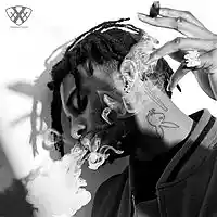 Picture for song 'Magnums' by artist 'XXXMAKEITBOUNCE'