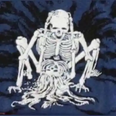 Picture for song '"FOLD" $UICIDEBOY$ X OG PHONK TYPE BEAT' by artist 'Z3M1R11P'