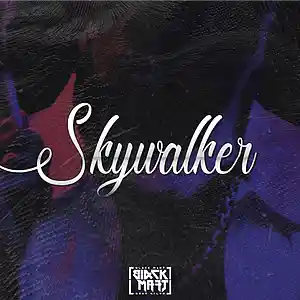 Picture for song 'Skywalker (Buy 1 Get 1 Free)' by artist 'bl4ckmart'