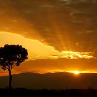 Picture for song 'SUNRISE' by artist 'David E Maxwell'