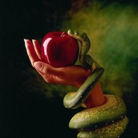 Picture for song 'Ambrosia Final' by artist 'Delirious Fox'