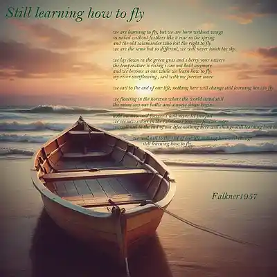 Picture for song 'Still Learning to fly' by artist 'Falkner1957'