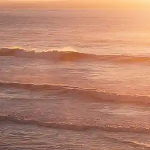 Picture for song 'Wave Vibe (Buy 1 Get 5 Free)' by artist 'HappyFace'