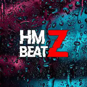Picture for song 'Lil Baby x Gunna Type Beat 2021 - Too Much' by artist 'HMZ Beatz'