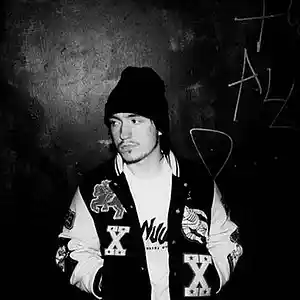 Picture for song 'What You Want Baby - Tommy Richman Type Beat' by artist 'Milanmadeit'