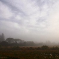 Picture for song 'A Foggy Day' by artist 'Rex Reynolds'