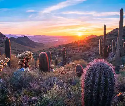 Picture for song 'I'm Still Me' by artist 'TypicallyCaffeinated'