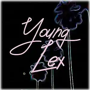 Picture for song 'IMMA STAR (MEGAN THEE STALLION TYPE BEAT)' by artist 'Young Lex'