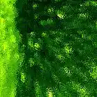 Picture for song 'I Wish She Was_MP3' by artist 'Clint Lavens'