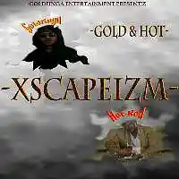 Picture for song 'XSCAPEIZM' by artist 'Goldfinga'