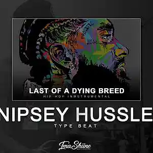 Picture for song '*NEW* Last Of A Dying Breed (Nipsey Hussle Type)' by artist 'ImaShiine'