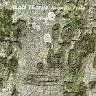 Picture for song 'Acoustic Route' by artist 'Matt Thorpe'