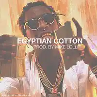 Picture for song 'Young Thug Type Beat - Egyptian Cotton' by artist 'Mike Lolli Beats'