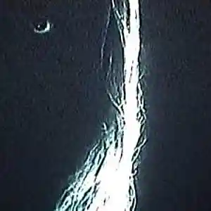 Picture for song 'Bones Type Beat' by artist 'Question'