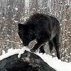 Picture for song 'The Den' by artist 'RioBproduction'